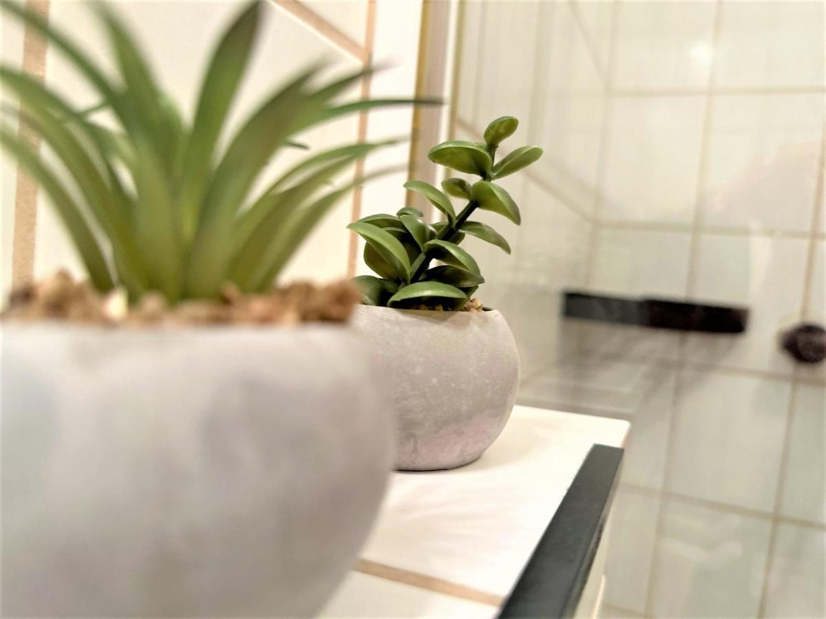 Cozy Apartment Bavarian Forest +Pool +Sauna +Netflix Zwiesel Eksteriør billede
